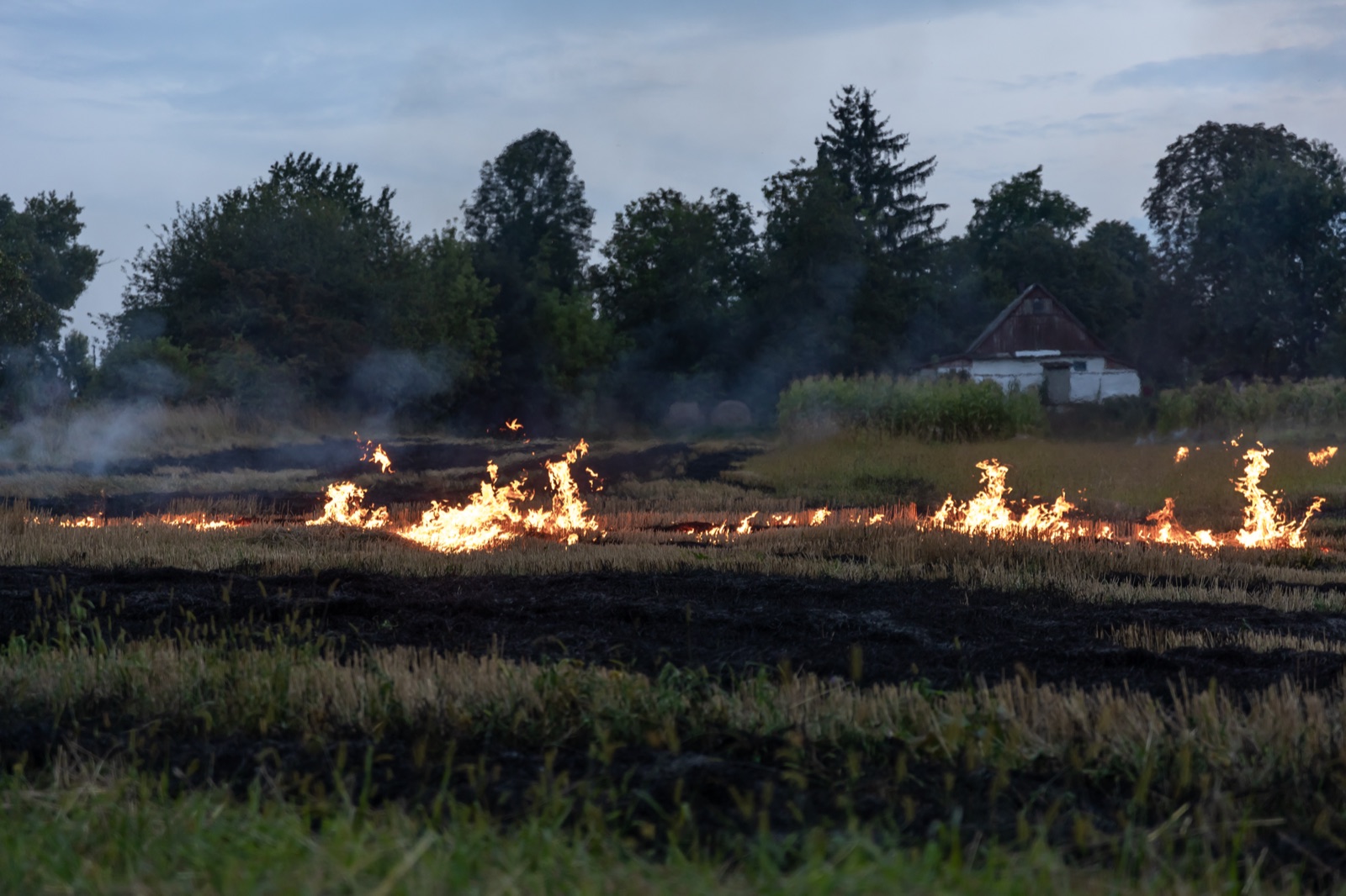 Crop residue burning in a field with smoke drifting across the land